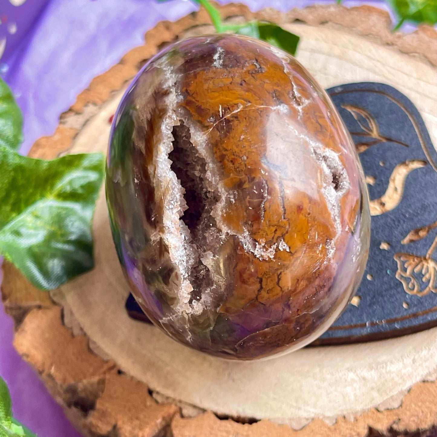 petrified wood egg carving