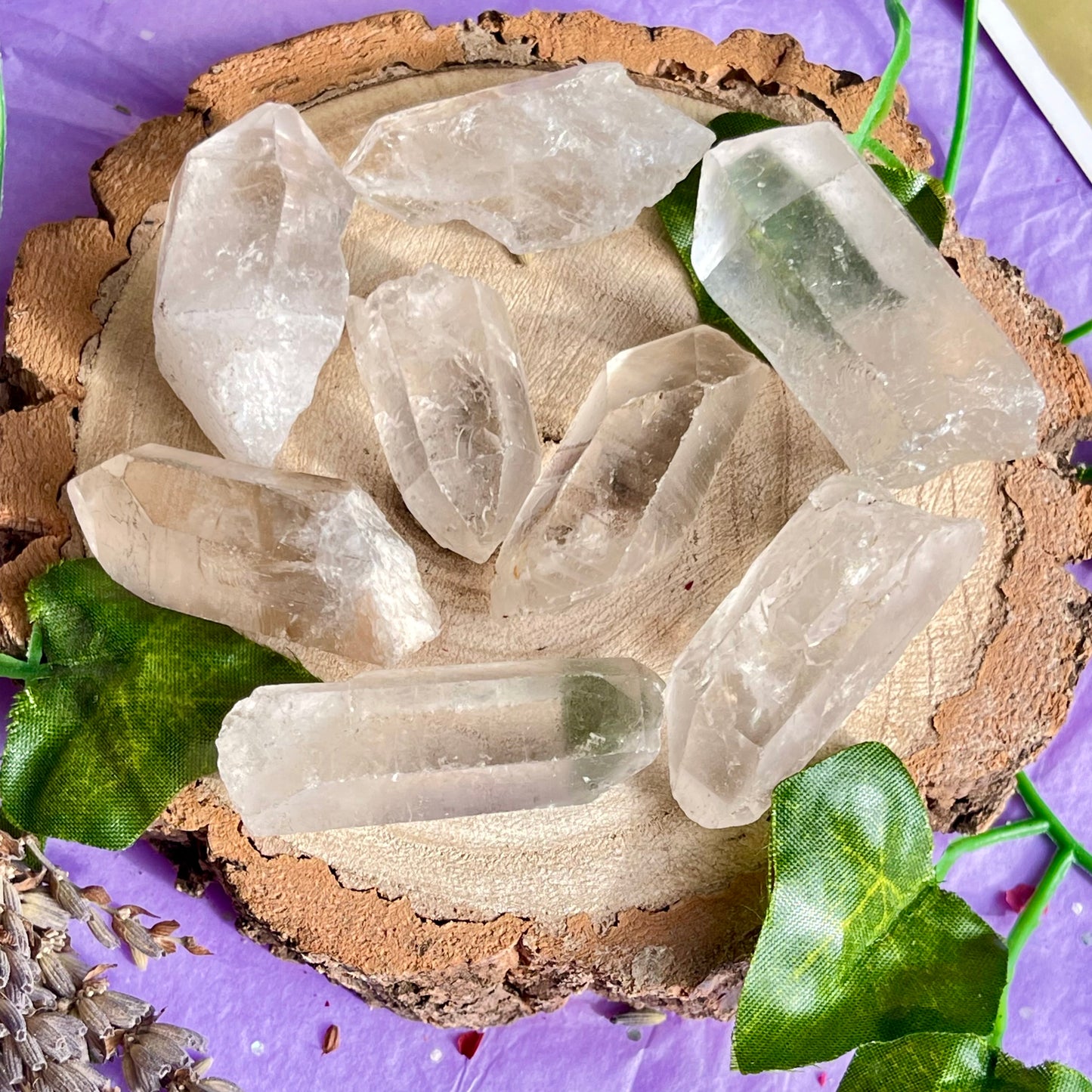 raw clear quartz points (s)