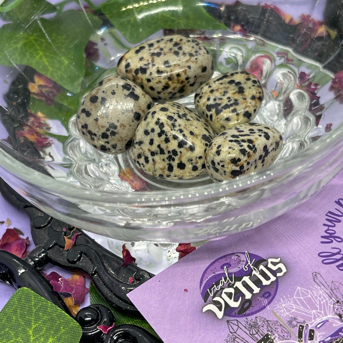 dalmatian jasper tumble